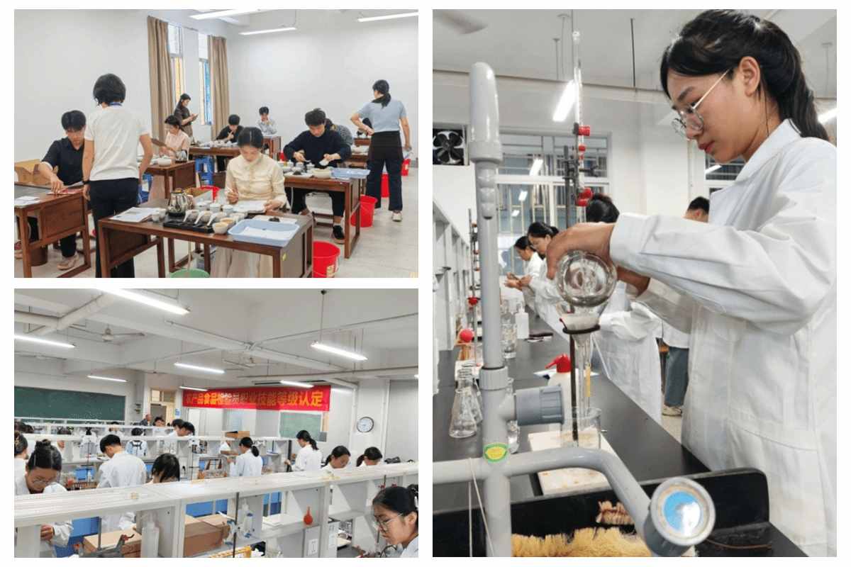 技能照亮前程:福建技术师范学院完成2026届毕业生职业技能培训 技能照亮前程:福建技术师范学院完成2026届毕业生职业技能培训